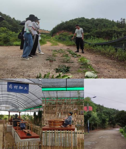 A77074E2D287DB7A40077C17E0B6947B