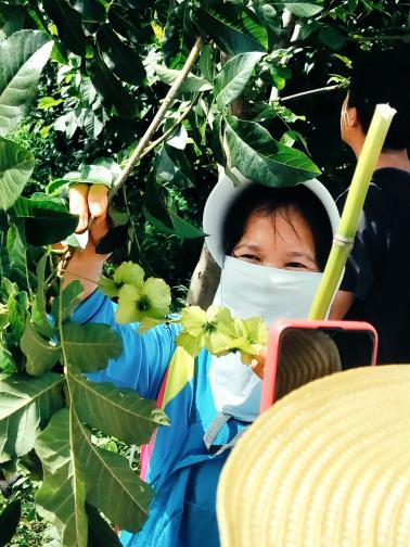 D6A7D12FCBC780F332ACC23C14327C0B